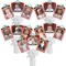 Big Dot of Happiness Farm Animals - Barnyard Birthday Party Picture Centerpiece Sticks - Photo Table Toppers - 15 Pieces
